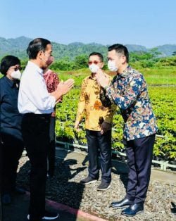 Presiden Jokowi Bentuk Rehabilitasi Mangrove dan World Mangrove Center | Presiden Jokowi Bentuk Rehabilitasi Mangrove dan World Mangrove Center | Presiden Jokowi Bentuk Rehabilitasi Mangrove dan World Mangrove Center