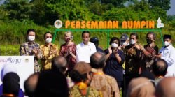 Presiden RI Tanam Padi | Pemerintah Pusat | Presiden Jokowi Bentuk Rehabilitasi Mangrove dan World Mangrove Center