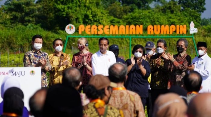 Amir | Presiden Jokowi Bentuk Rehabilitasi Mangrove dan World Mangrove Center