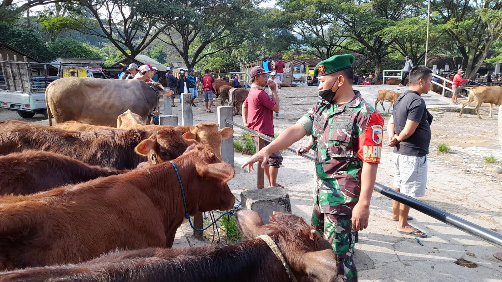 Koramil Antisipasi PMK koramil 0825/16