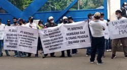 satgas | satgas | Ratusan Mantan Karyawan PT Bostinco Gelar Aksi Demo, Tuntut Upah Pesangon