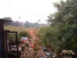 Mangkrak, Pembangunan Terminal Parung di penuhi Ilalang dan Sampah