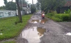 satgas | satgas | Horee!! Jalan Rusak di Kp Jampang Kalisuren Bakal di Beton