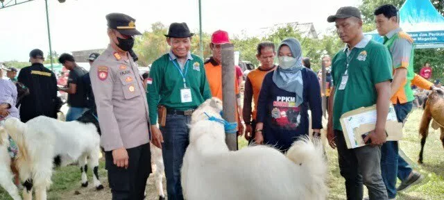 IMG-20221017-WA0001 IMG 20221017 WA0001