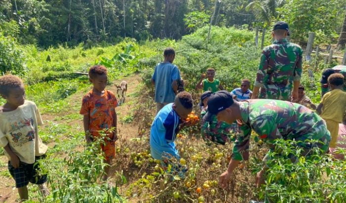 Kamaludin: Bangunan STIPI dan Milboa Magrifoh Berdiri Dilahan Garapan | polda metro jaya | Satgas Yonif 126/KC Ajak Anak-anak Panen dan Bagikan Hasilnya 