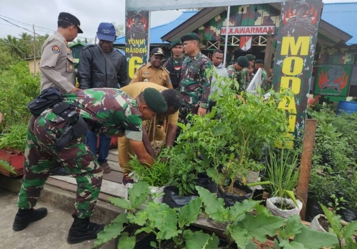 Wujudkan Rasa Aman | Dandim 1710/Mimika | Dukung Program Ketahanan Pangan Nasional, Yonif Raider 600/Modang Budidaya Tanaman