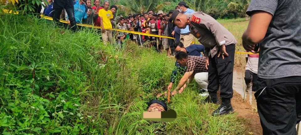 IMG-20221117-WA0053 IMG 20221117 WA0053