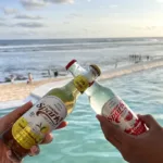 Screenshot 2023 01 28 01 27 54 21