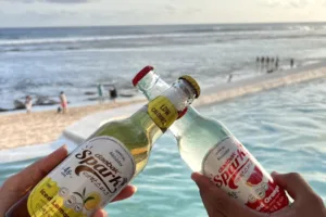 Screenshot 2023 01 28 01 27 54 21