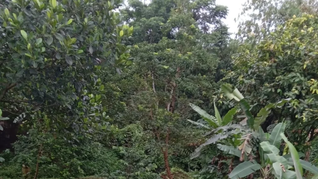 IMG_20230228_195202 IMG 20230228 195202