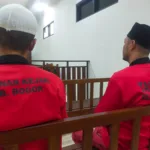 IMG 20230301 WA00331