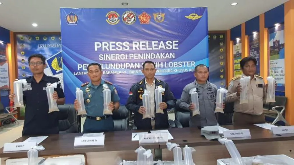 IMG-20231025-WA0013 IMG 20231025 WA0013