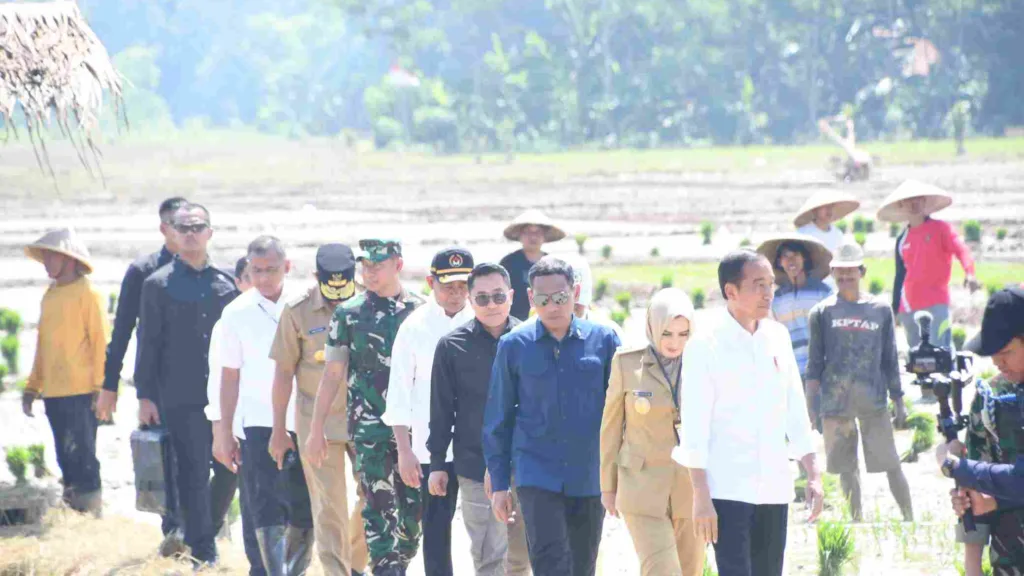 WhatsApp Image 2023 12 13 at 16.51.48