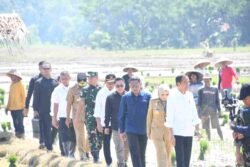 satgas | satgas | Presiden RI Tanam Padi di Jawa Tengah