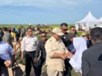 satgas | satgas | Presiden RI Tinjau Program Swasembada Pangan Nasional di Merauke