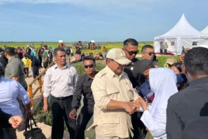 IMG-20241103-WA0064 IMG 20241103 WA0064