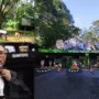 Pernyataan Resmi Law Firm Taman Safari Indonesia Terkait Kasus OCI