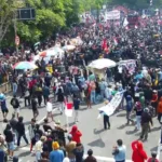 Demo Pati